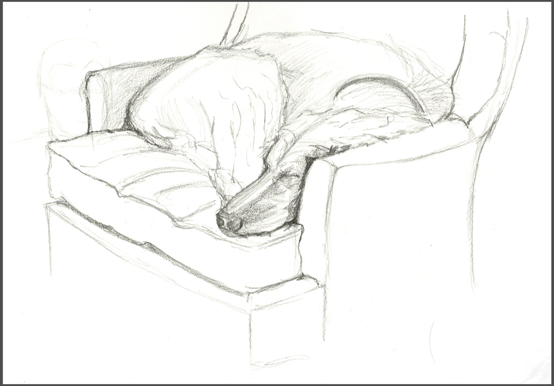 Ginger dog sleeping
