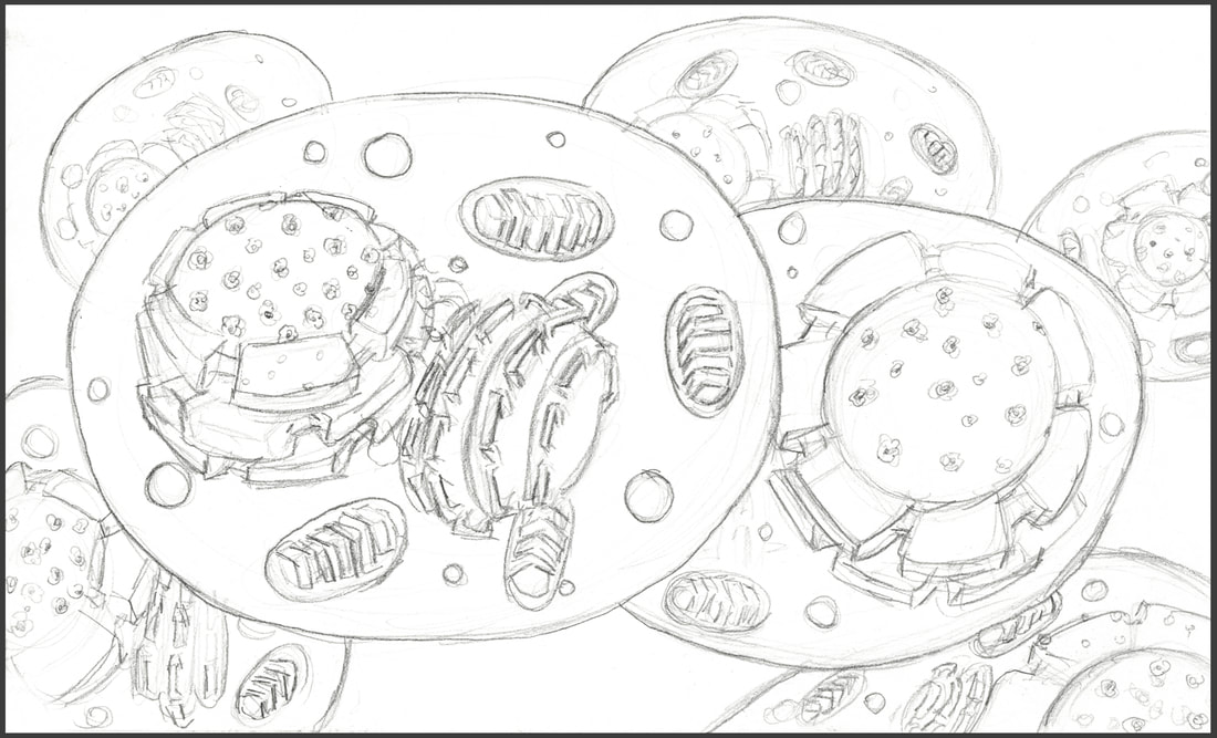 Cells sketch by Amanda Barnaby