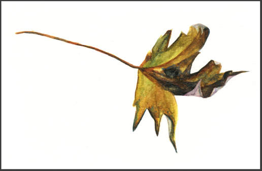 Watercolor of an autumn leaf
