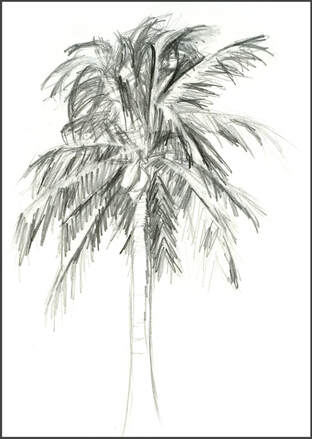 Sketch of a coconut tree