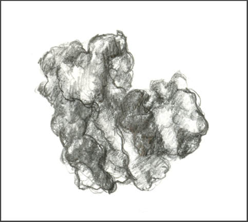 Sketch of cytochrome c