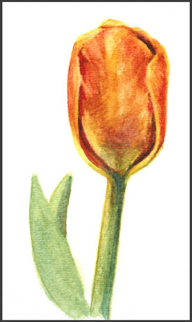 Easter Tulip Watercolor Sketch