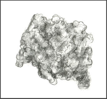 Sketch of Endonuclease