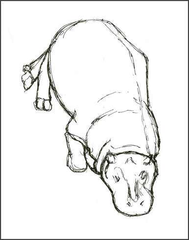 Pigmy hippopatamus