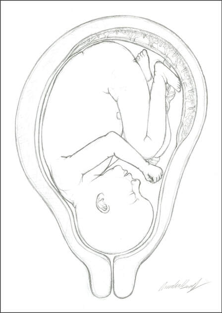 Pregnancy Overview Sketch